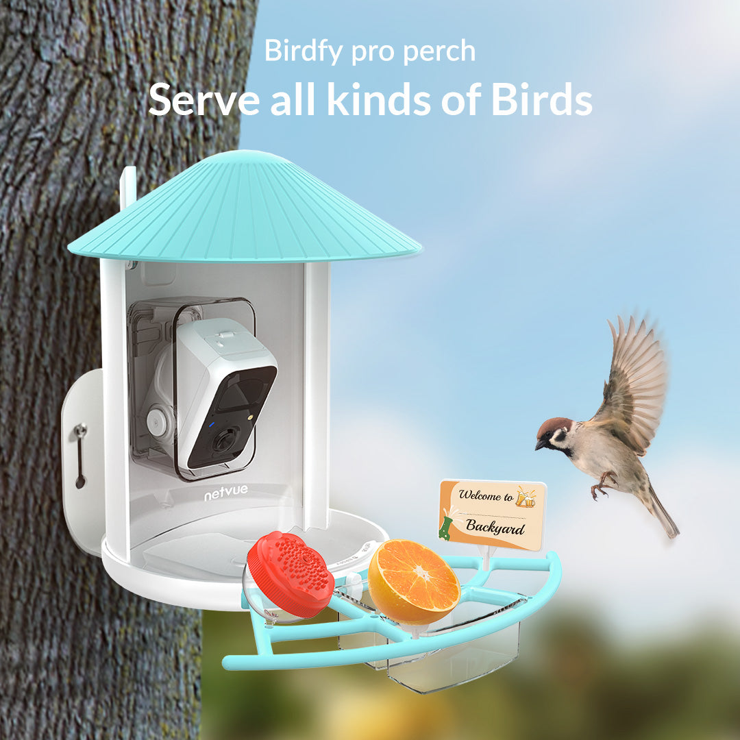 birdfy-perch-pro-extension-sitzstange-blau-f-r-futterspender image 5
