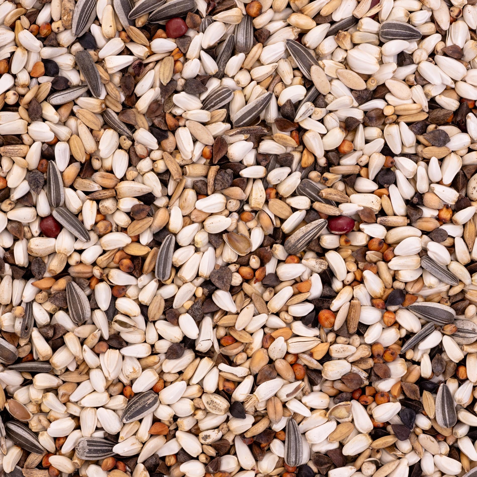 rico-s-futterkiste-amazonen-spezial-papageienfutter-1-kg image 2