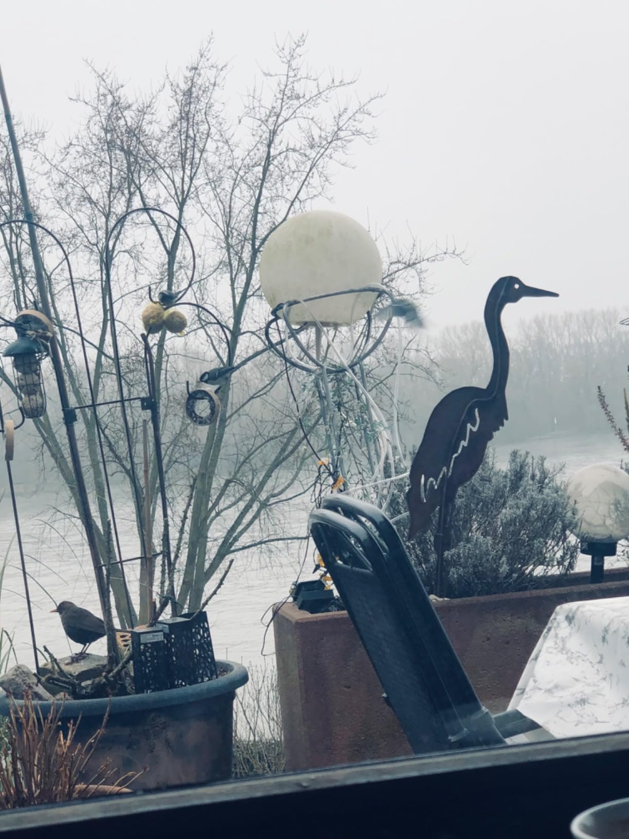Vögel lieben es