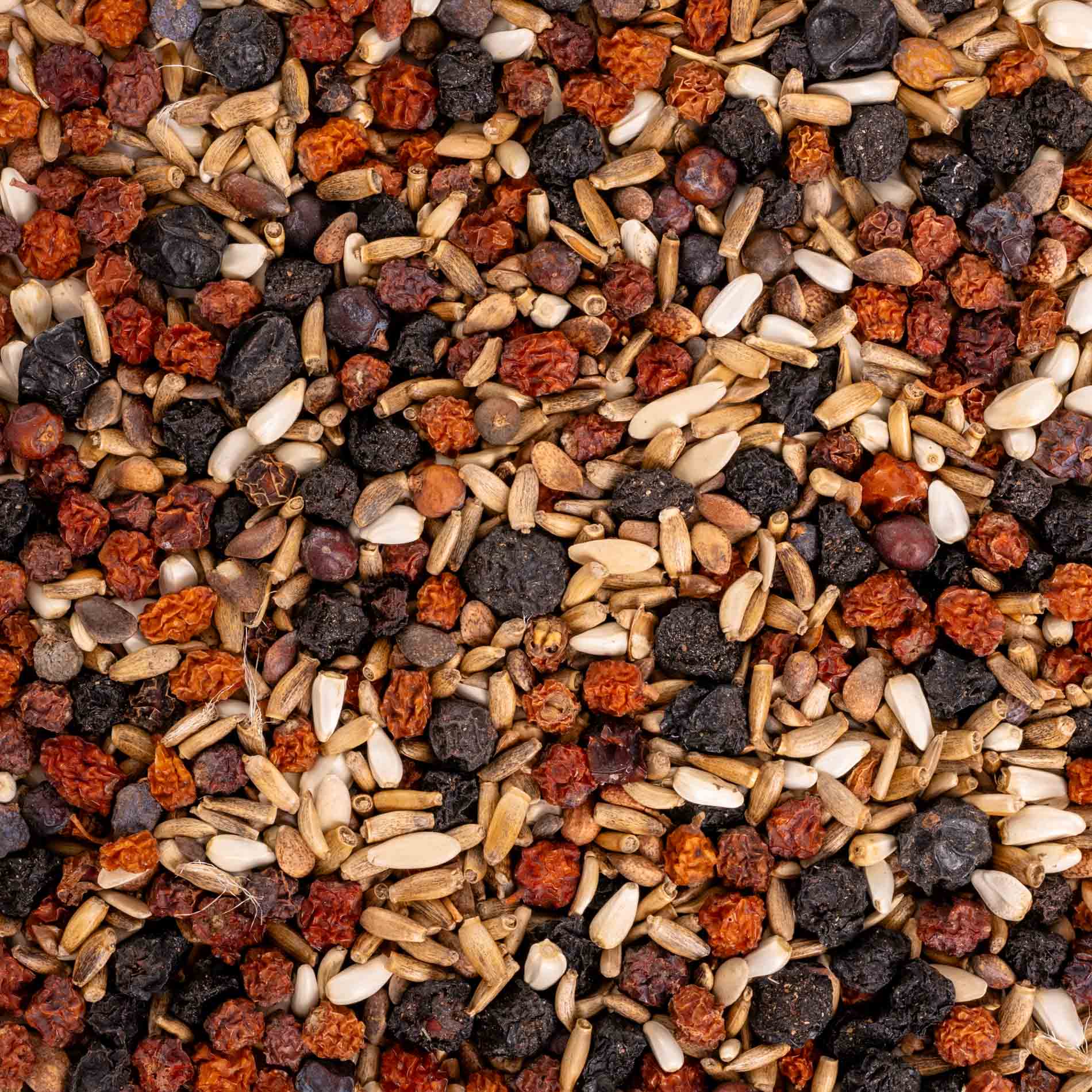 rico-s-futterkiste-baumsaat-spezial-vogelsnack-100-g-beeren image 2