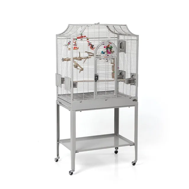 montana-madeira-i-vogelk-fig-platinum-mit-freisitz-sittiche image 1