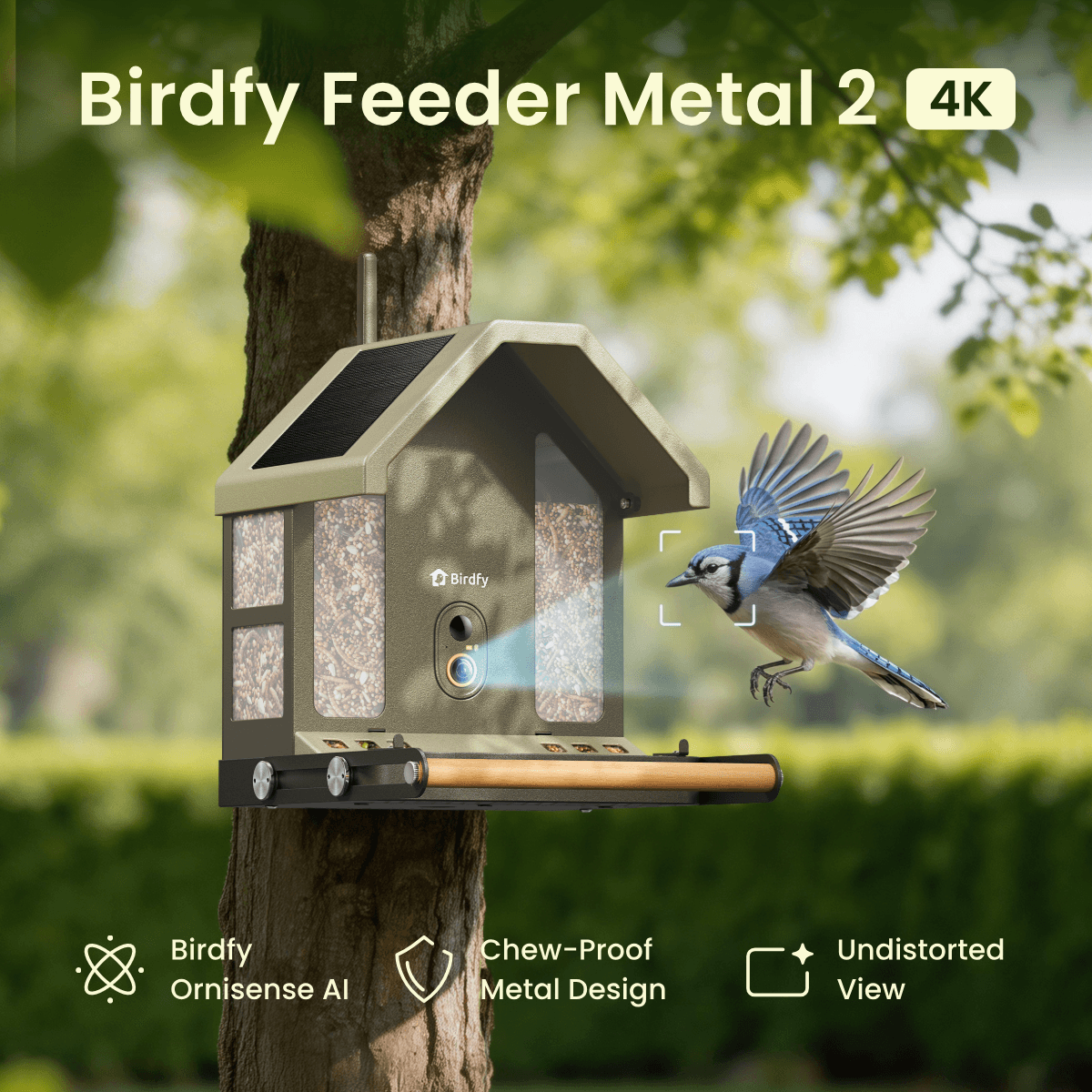 birdfy-feeder-metal-2-4k-vogelfutterhaus-mit-kamera-lifetime image 3