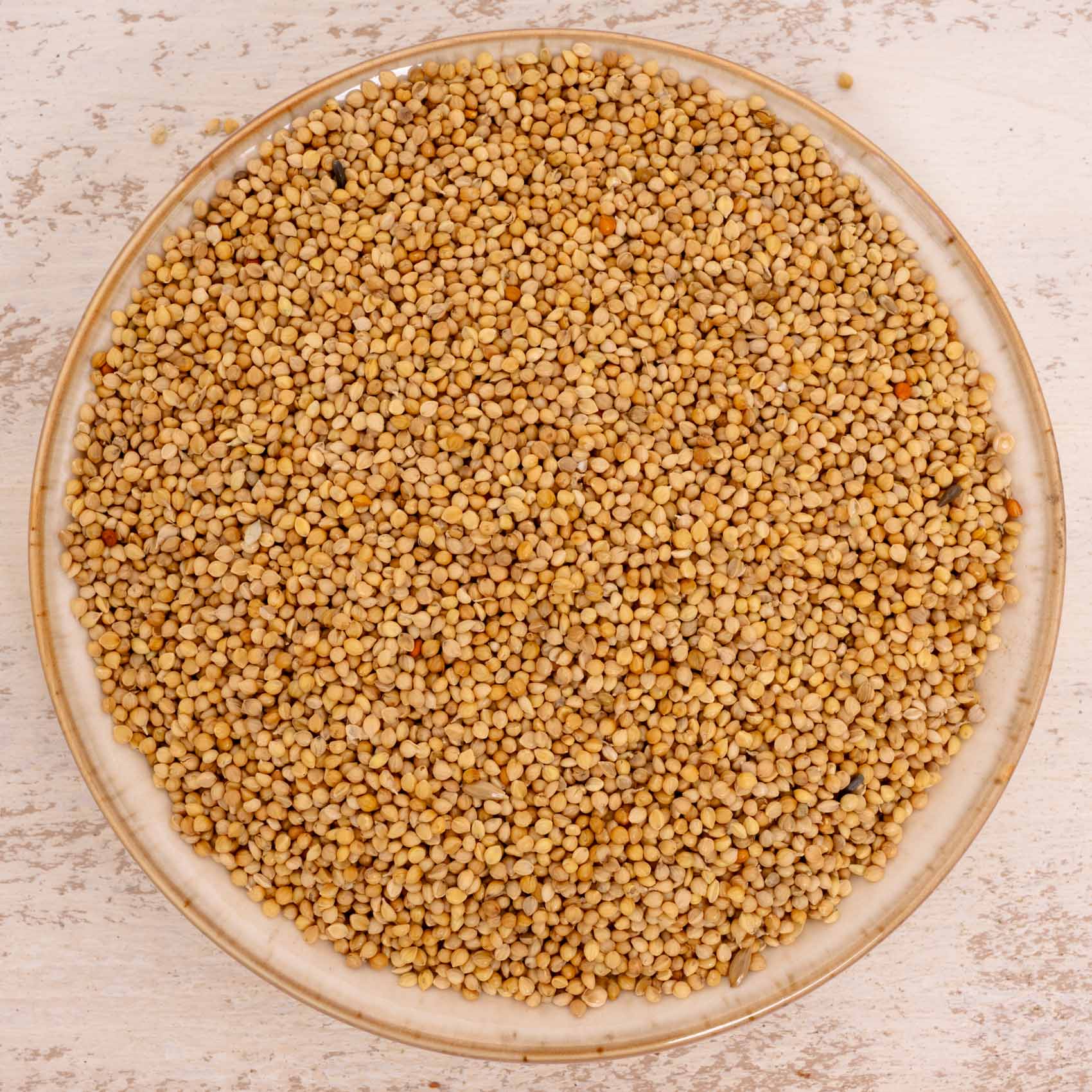 rico-s-futterkiste-einzelsaaten-senegalhirse-vogelfutter-500-g image 1