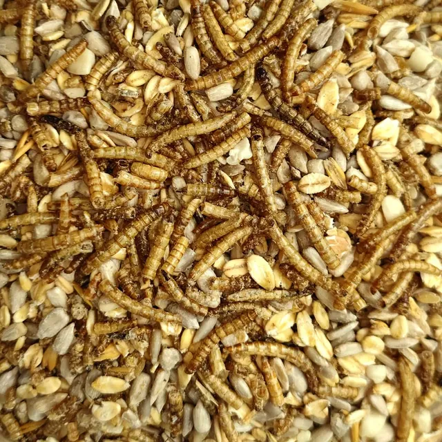 klasebo-deluxe-vogelfutter-20-kg-schalenlos-mehlw-rmer image 1