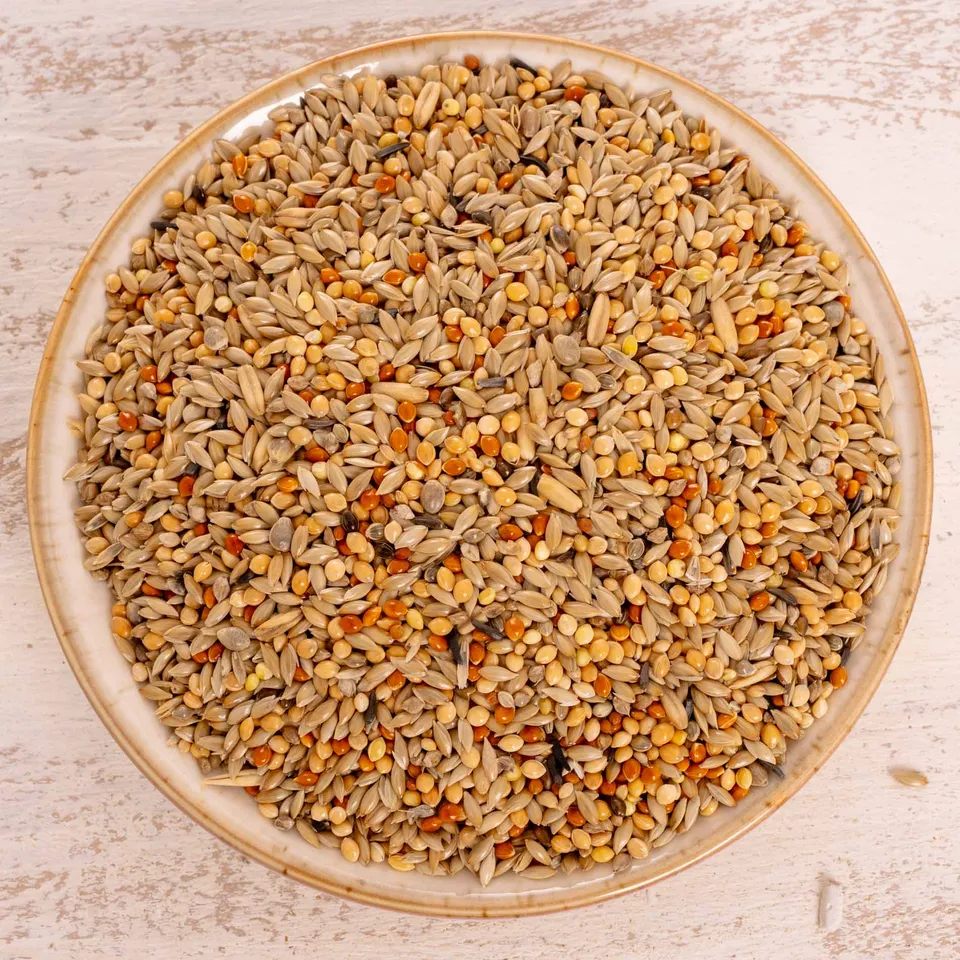 rico-s-futterkiste-spezial-1-wellensittichfutter-1-kg-naturell image 1