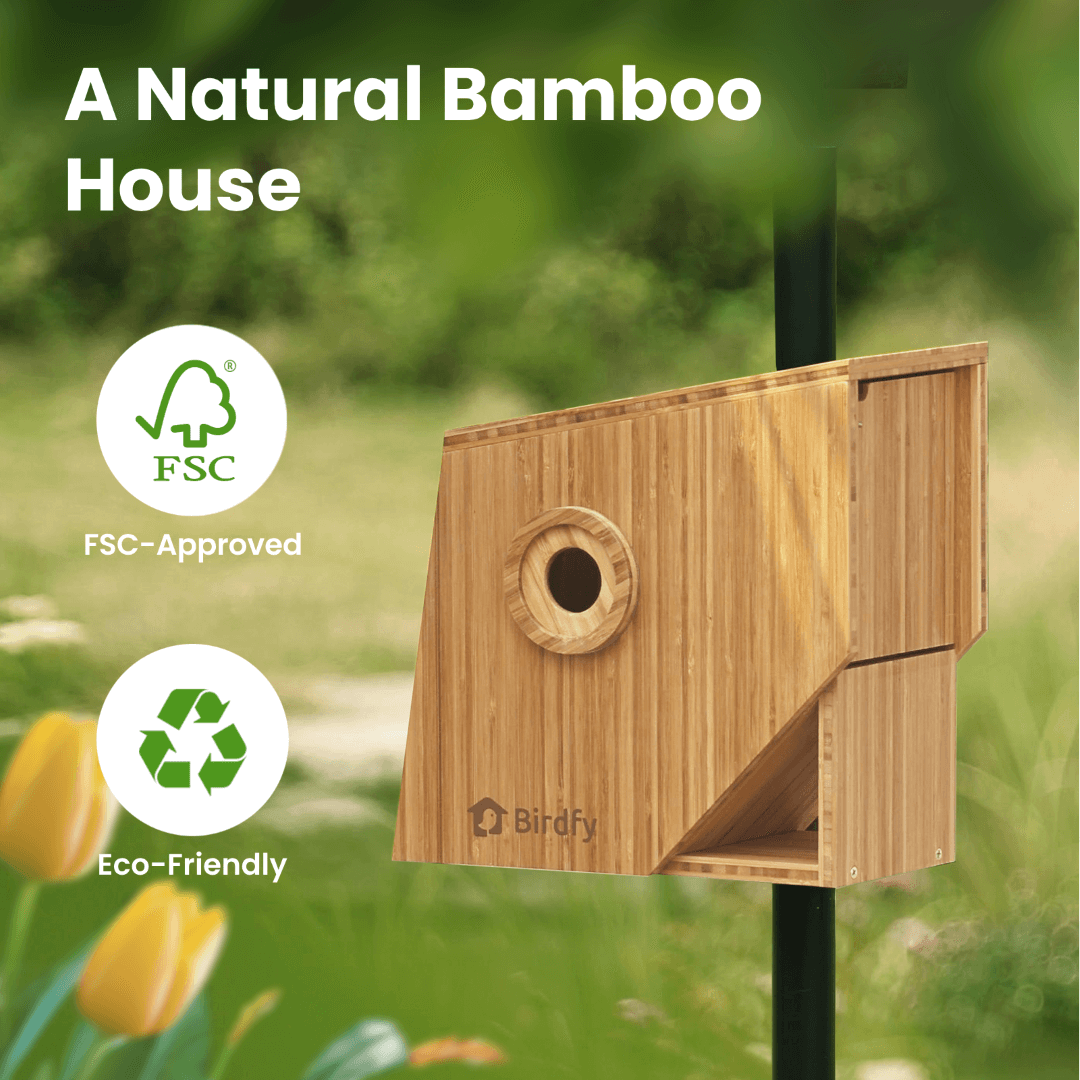 birdfy-nest-polygon-nistkasten-mit-kamera-braun-2k-nachtsicht image 2