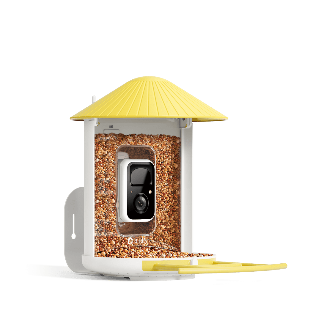 birdfy-feeder-bf1-vogelhaus-mit-kamera-gelb-1080p image 1