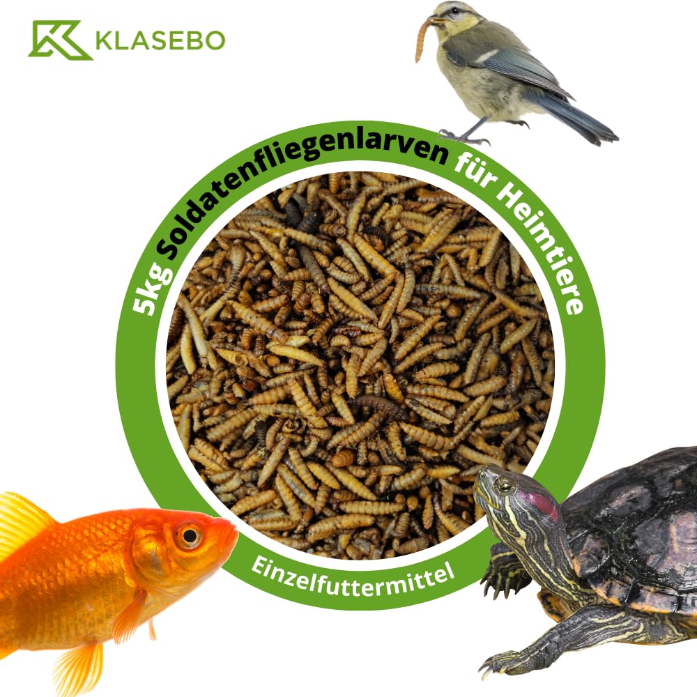 klasebo-soldatenfliegenlarven-getrocknet-5-kg-vogelfutter image 2