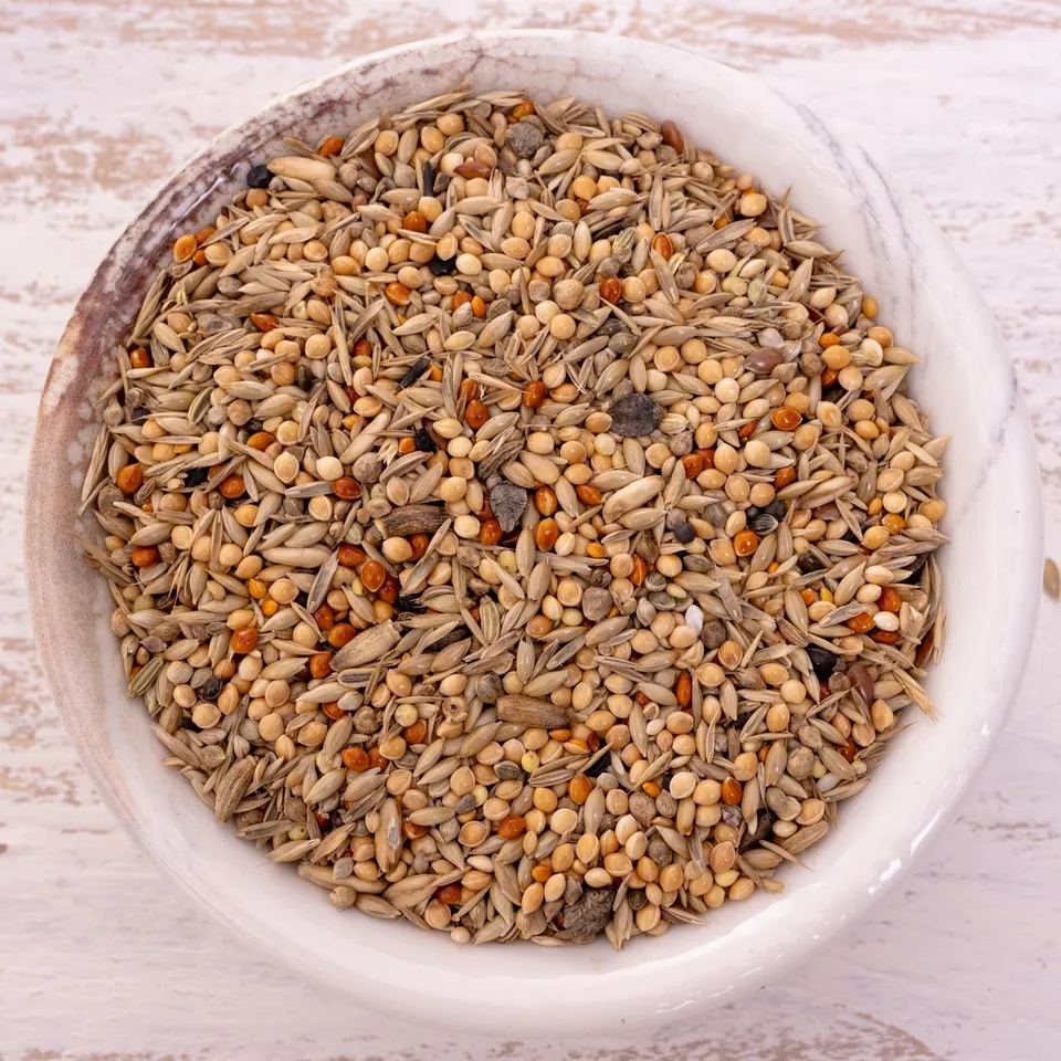 rico-s-futterkiste-gro-sittich-vogelfutter-nymphensittich-1-kg image 1