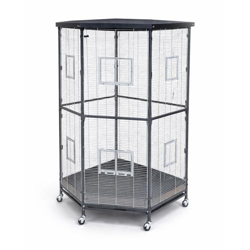 montana-denver-villa-esquina-eckvoliere-antik-platinum-75cm image 4
