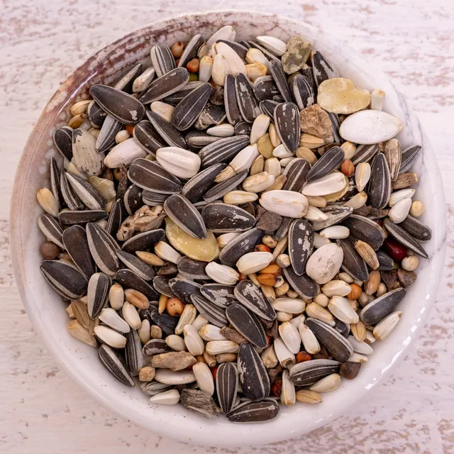 rico-s-futterkiste-graupapagei-spezial-2-papageienfutter-1-kg image 1