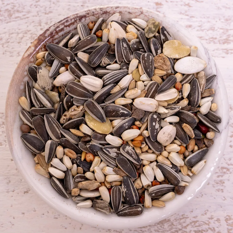 rico-s-futterkiste-graupapagei-spezial-2-papageienfutter-1-kg image 1