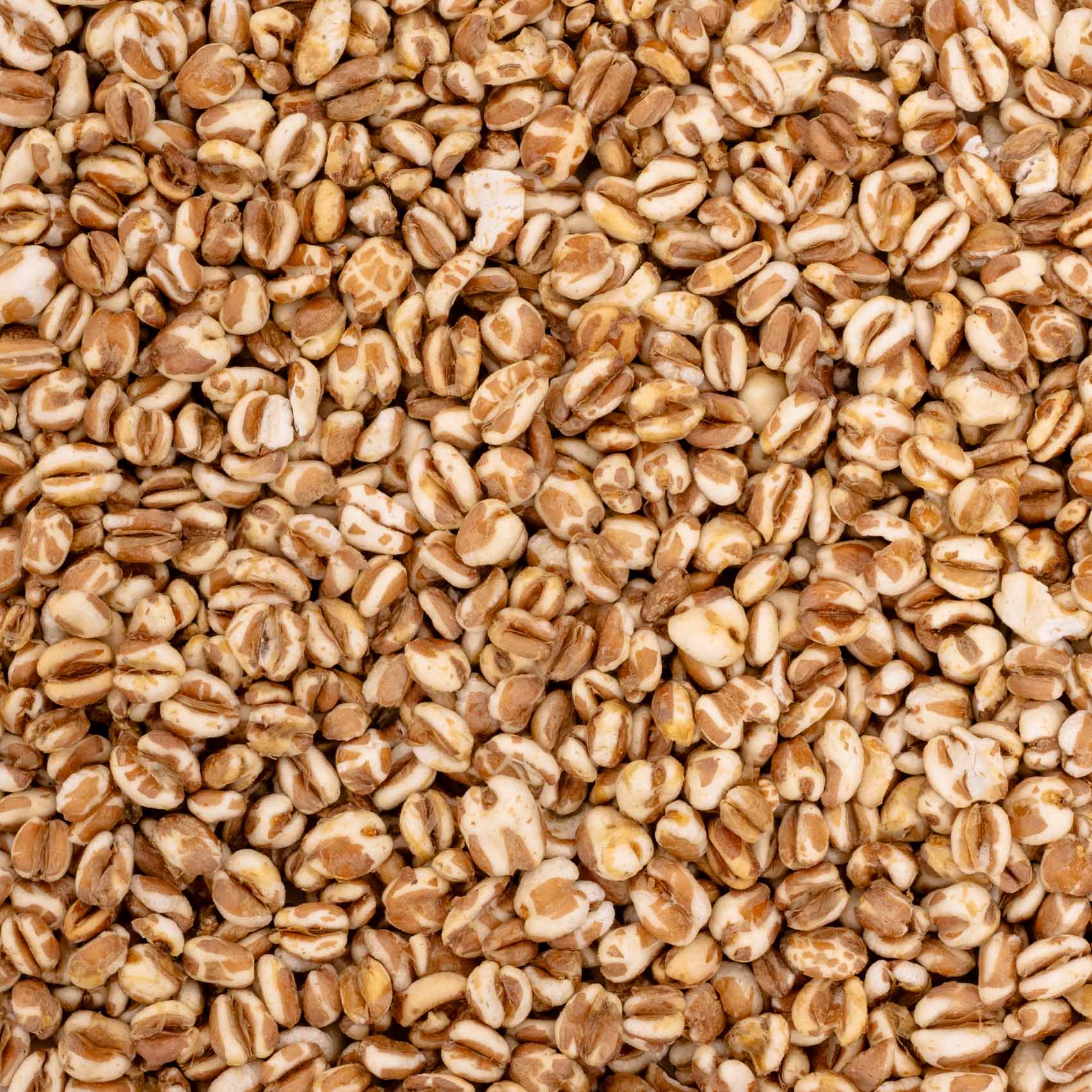 rico-s-futterkiste-einzelsaaten-weizen-gepufft-vogelfutter-100-g-eiwei-reich image 2
