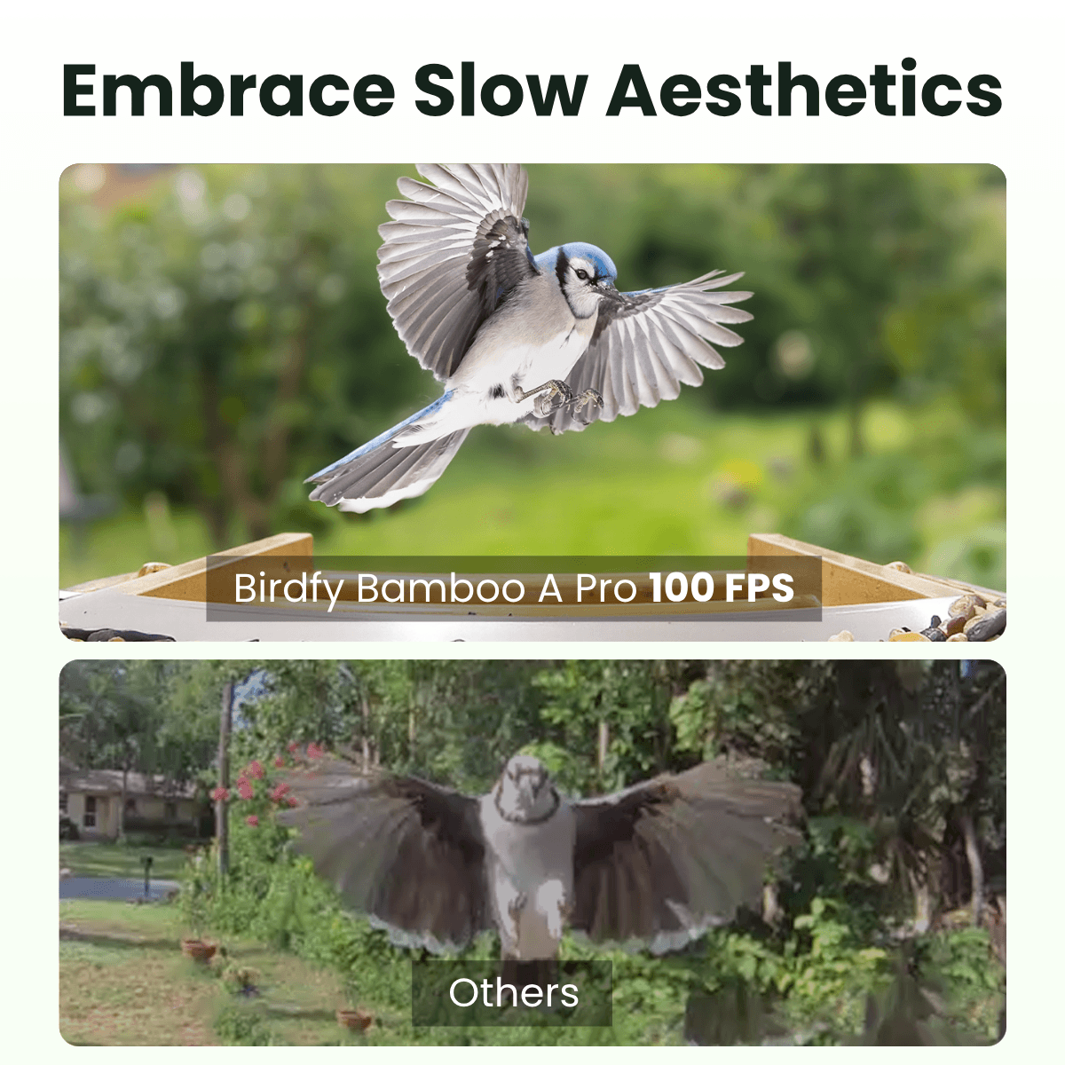 birdfy-feeder-bamboo-a-pro-futterstation-metall-kamera-2k image 4