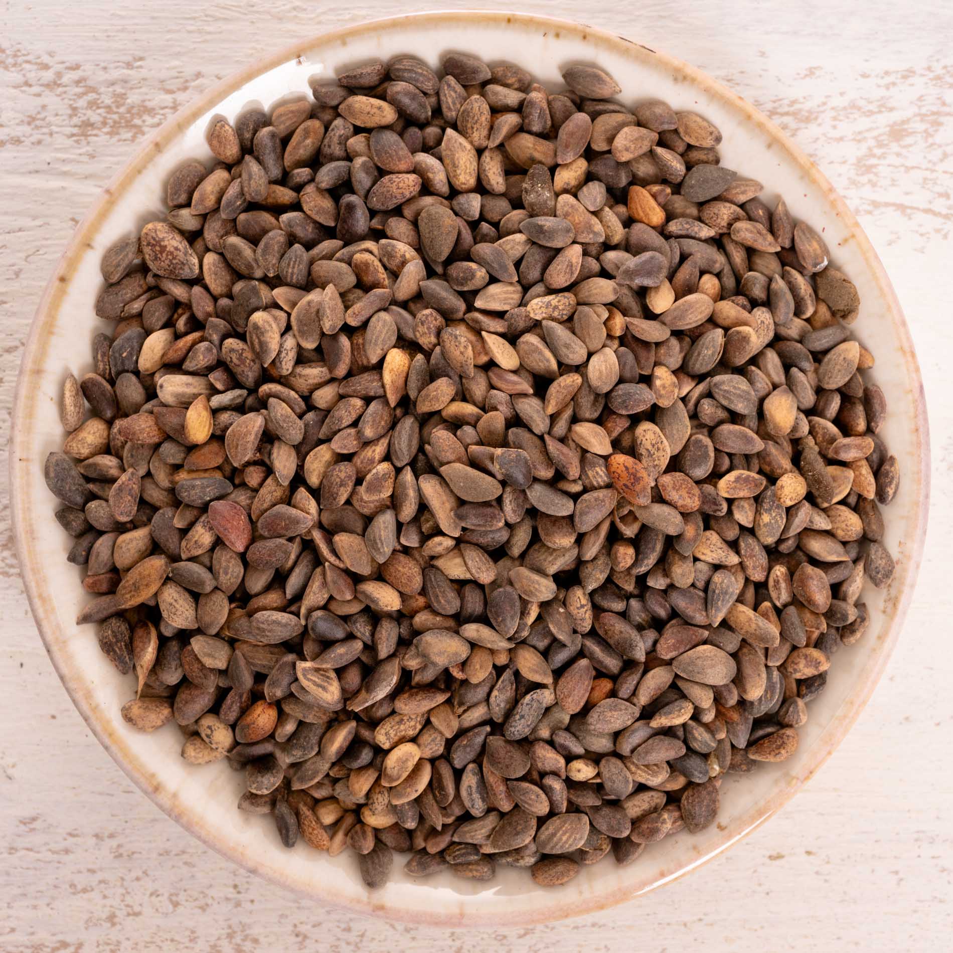 rico-s-futterkiste-baumsaat-vogelfutter-100-g-kiefernsaat image 1