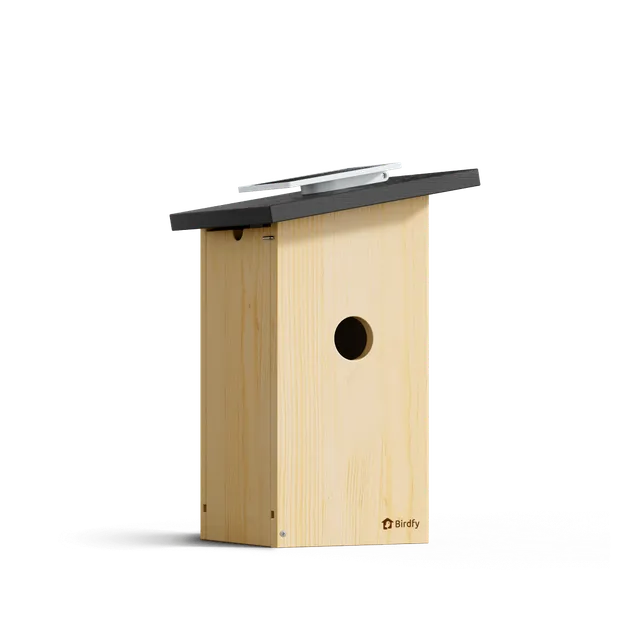 birdfy-nest-ebony-nistkasten-mit-kamera-holz-solar-1080p image 1