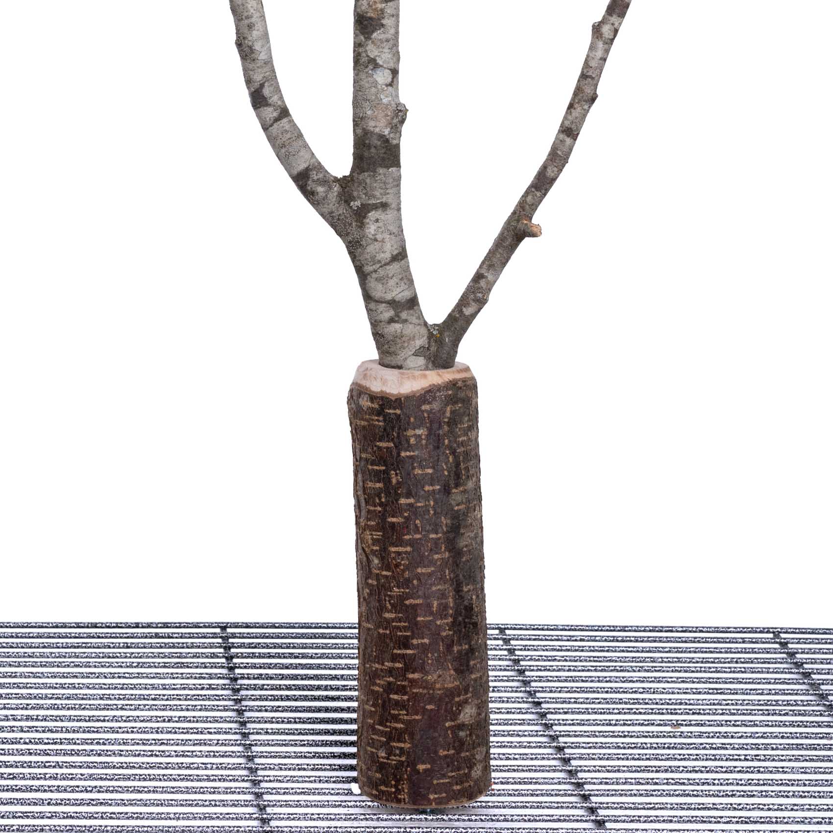 rico-s-futterkiste-asthalter-vario-papageienspielzeug-naturholz image 2