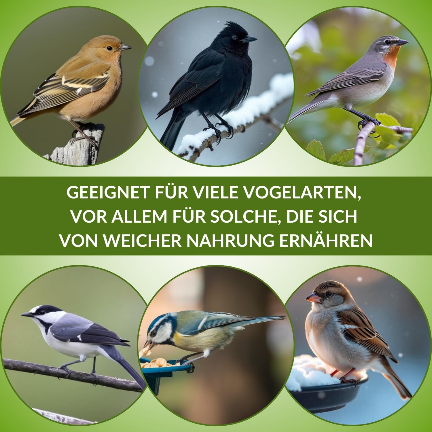 klasebo-vogelfutter-fettfutter-streufutter-25-kg-ganzj-hrig image 8