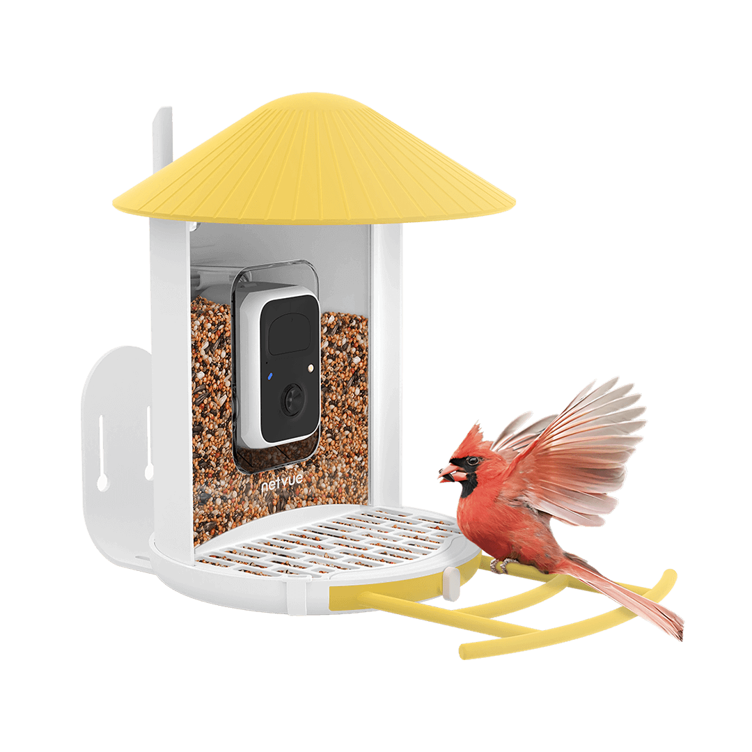 birdfy-bird-seed-guard-futterschutz-f-r-feeder-1-2er-set image 4