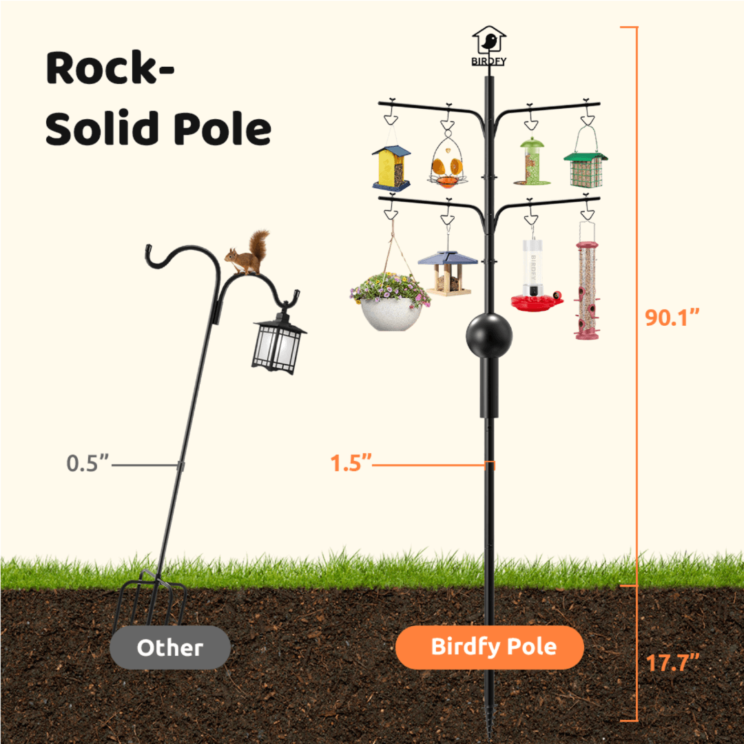 birdfy-pole-vogelfutterstation-stange-8-haken-eichh-rnchenschutz image 3
