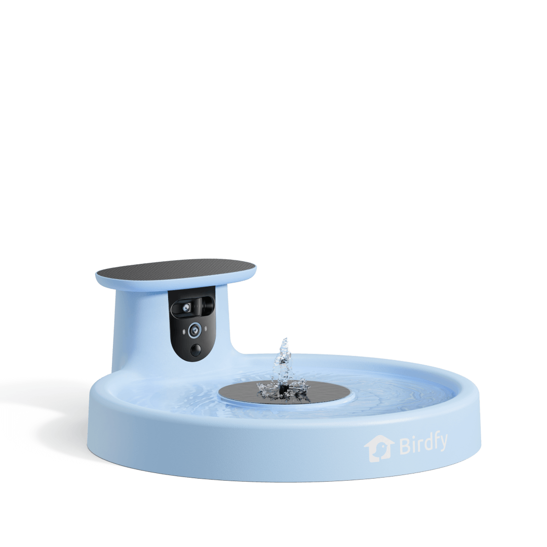 birdfy-bath-pro-vogeltr-nke-mit-kamera-wei-solar-2k image 2