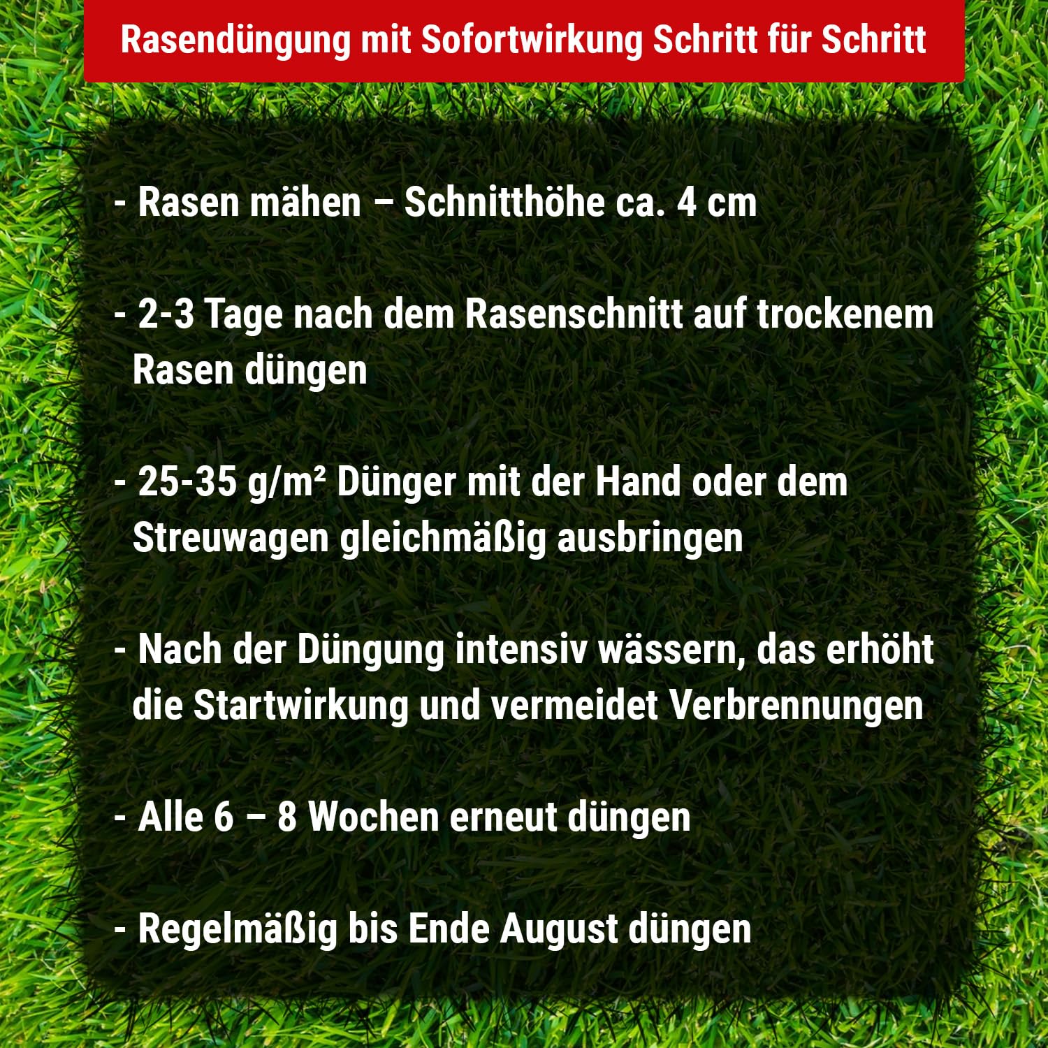 klasebo-rasend-nger-fr-hling-sommer-20-kg-npk-21-6-12 image 5