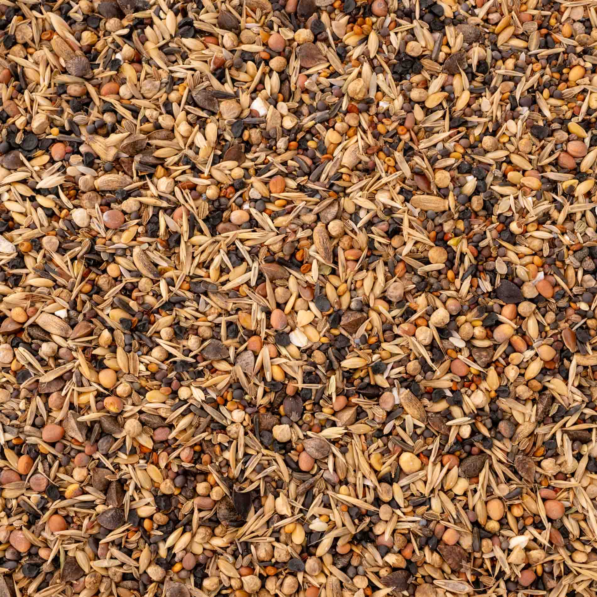 rico-s-futterkiste-einzelsaaten-wildsaaten-vogelfutter-500-g-23-samen image 2