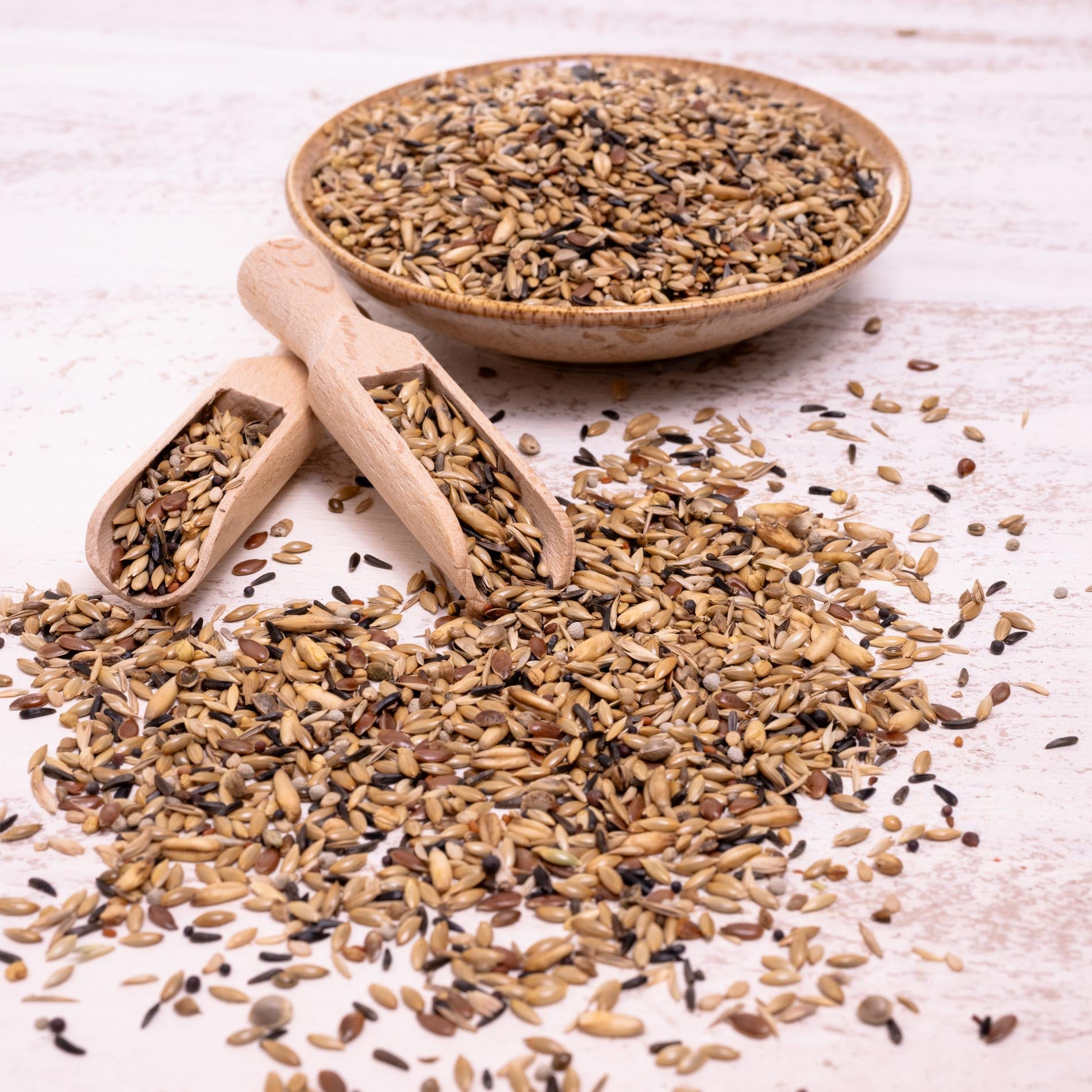 rico-s-futterkiste-kanarienfutter-vogelfutter-1-kg-18-saaten image 3