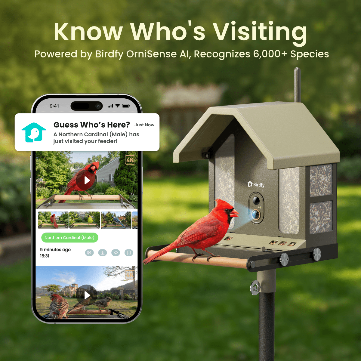 birdfy-feeder-metal-2-4k-vogelfutterhaus-mit-kamera-lifetime image 7
