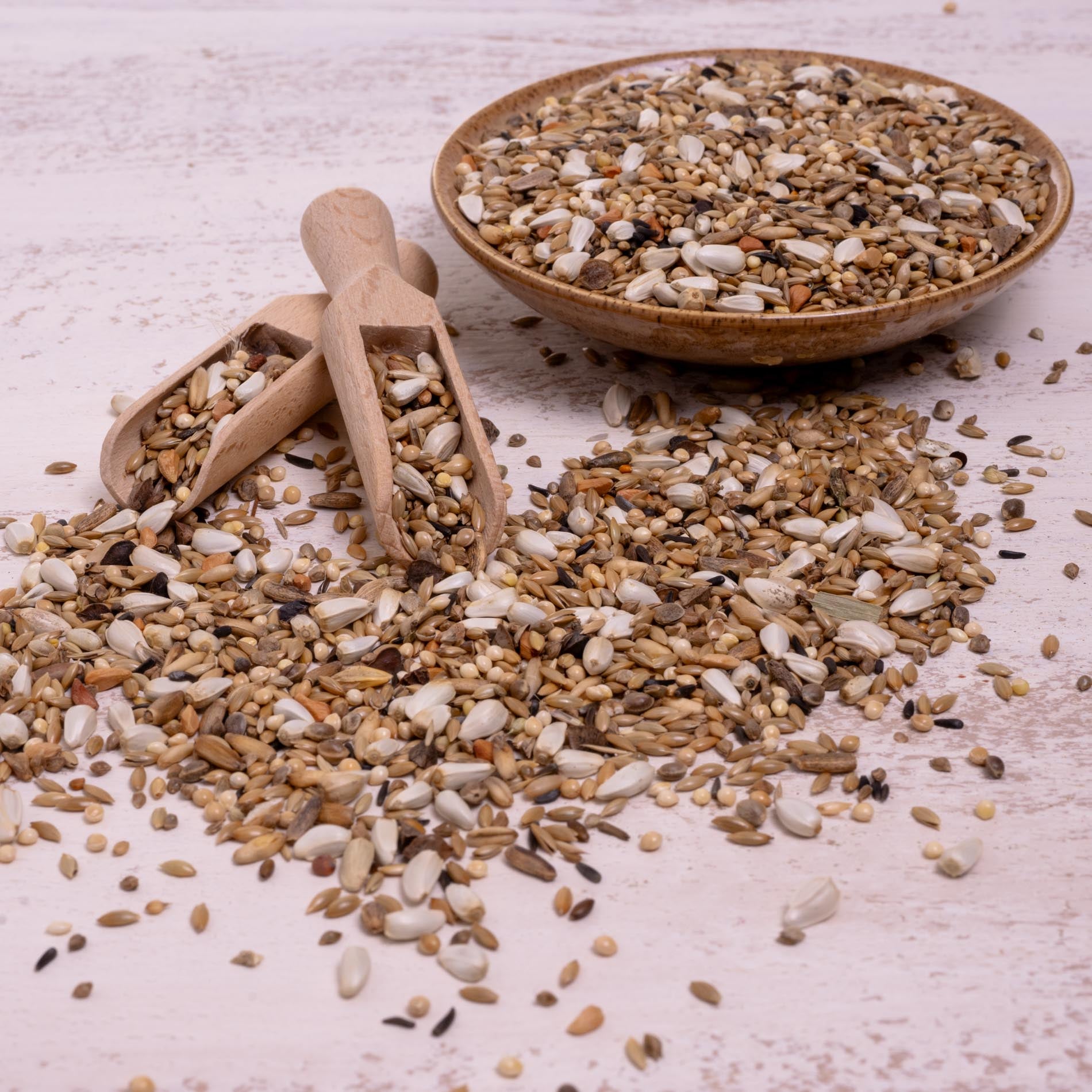 rico-s-futterkiste-agaporniden-spezial-vogelfutter-1-kg-23-saaten image 3