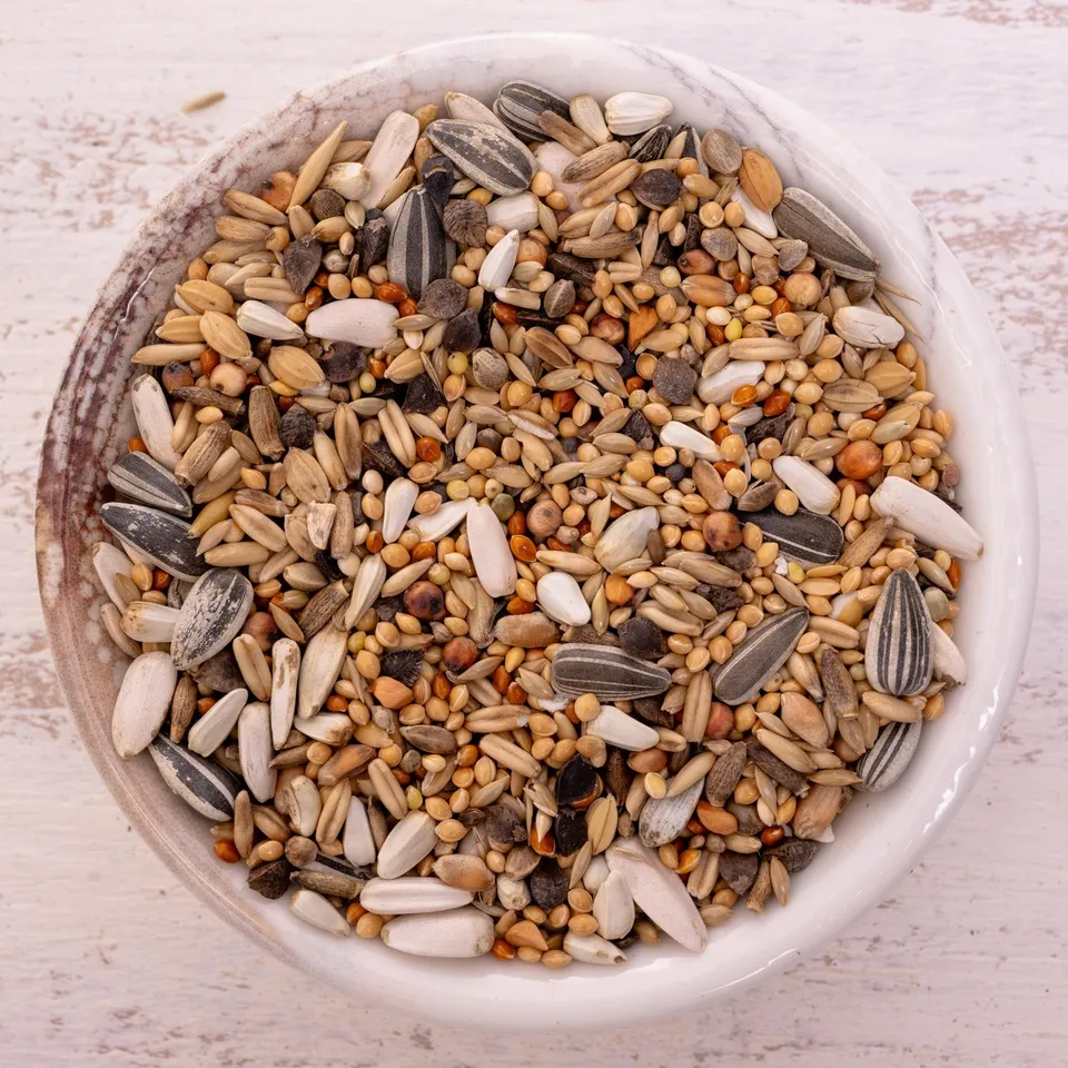 rico-s-futterkiste-gro-sittich-spezial-2-vogelfutter-1-kg-33-saaten image 1
