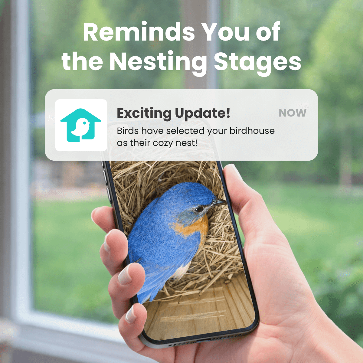 birdfy-nest-duo-nistkasten-mit-2-kameras-bambus-2mp image 6