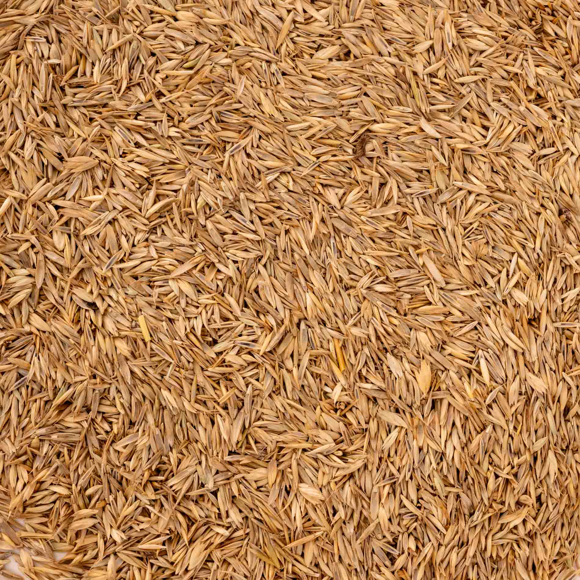 rico-s-futterkiste-gras-samen-mix-vogelfutter-250-g-beifutter image 2