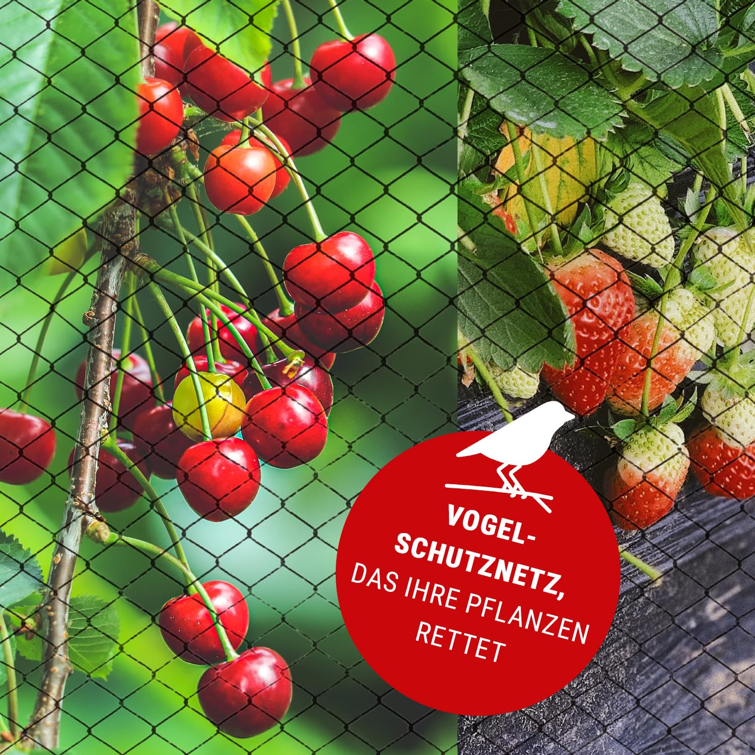 klasebo-vogelschutznetz-engmaschig-2x3m-teichnetz-6-m image 2