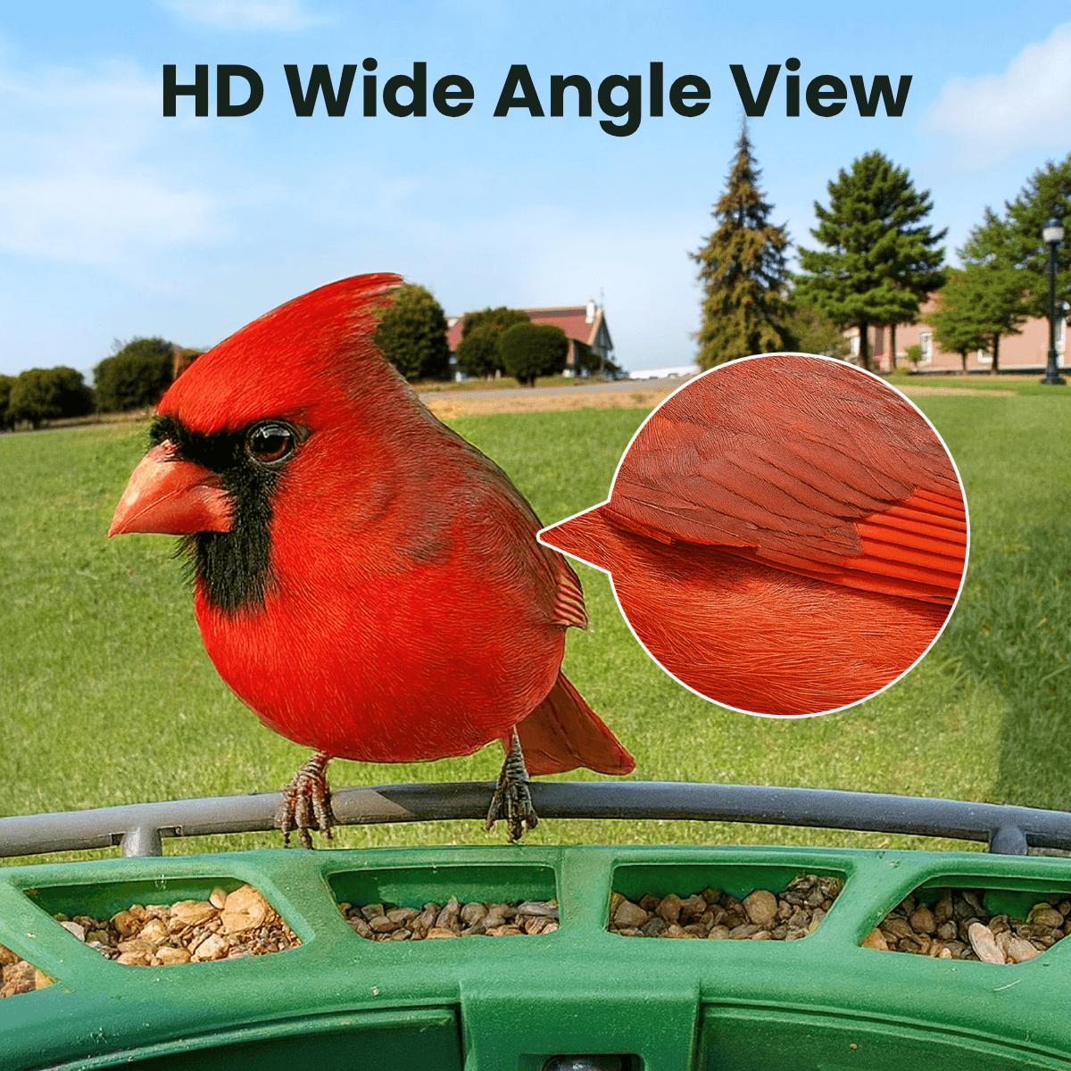 birdfy-feeder-2-bf2-vogelhaus-mit-kamera-1080p-ki image 5