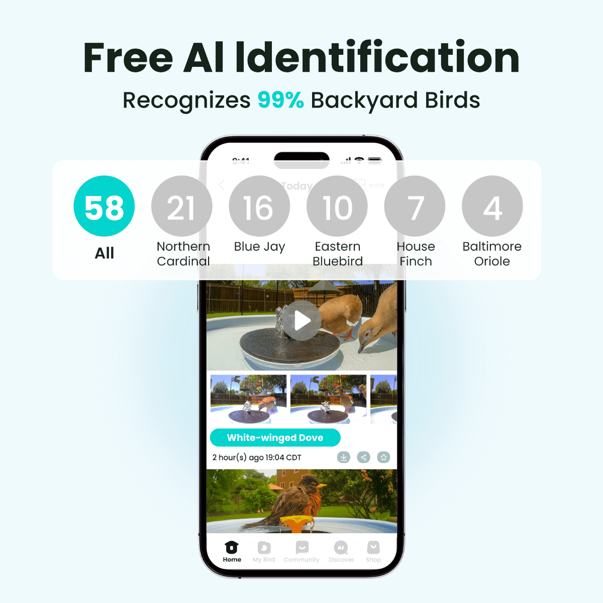 birdfy-bath-pro-vogeltr-nke-mit-kamera-wei-solar-2k image 3