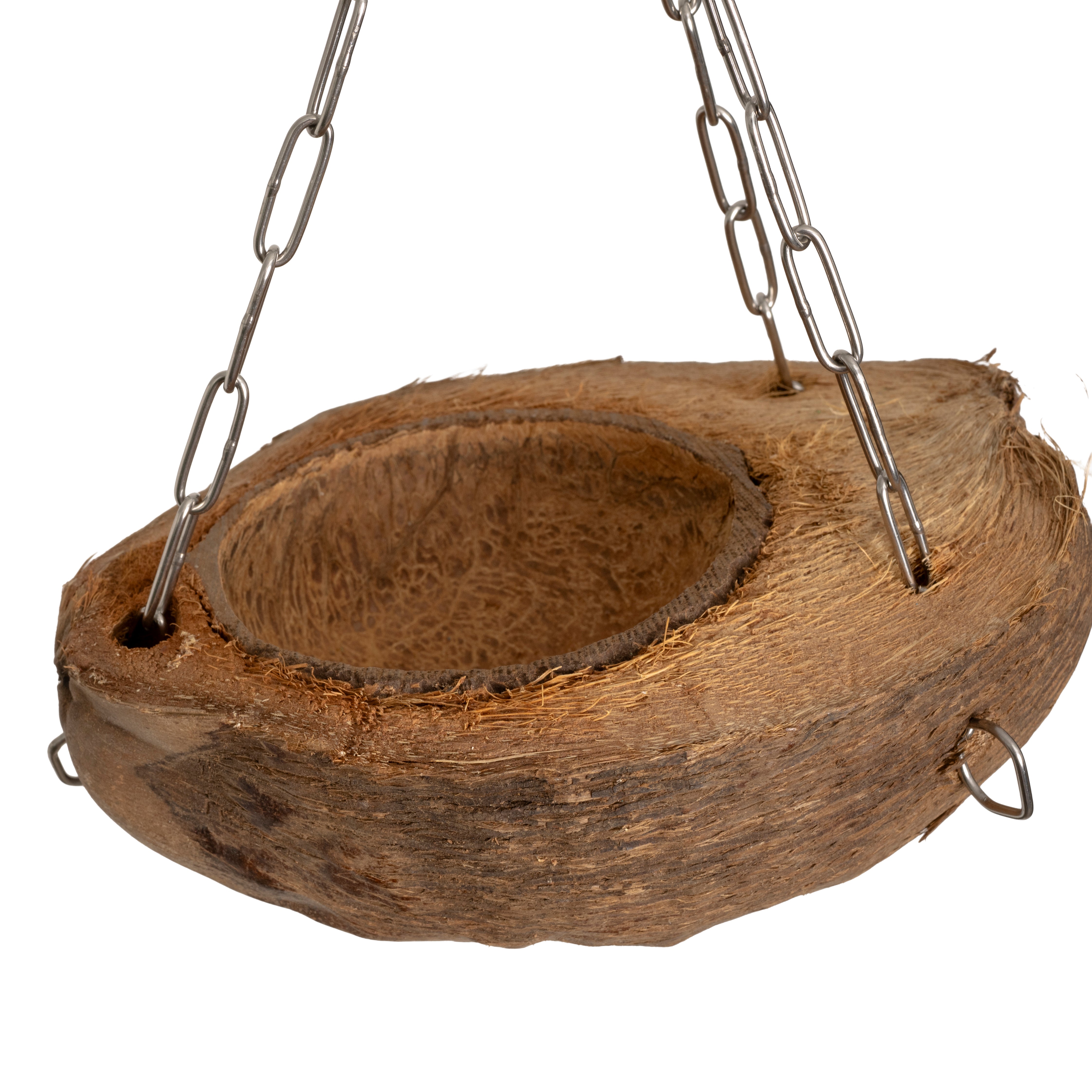 rico-s-futterkiste-mg1663-futterschale-kokos-sittiche-papageien image 3