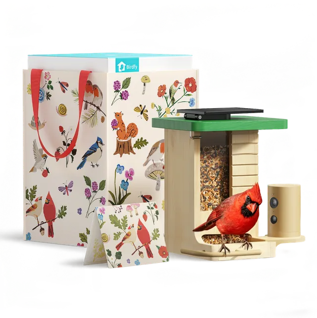 birdfy-feeder-wood-gift-set-vogelhaus-kamera-solar-holz image 1
