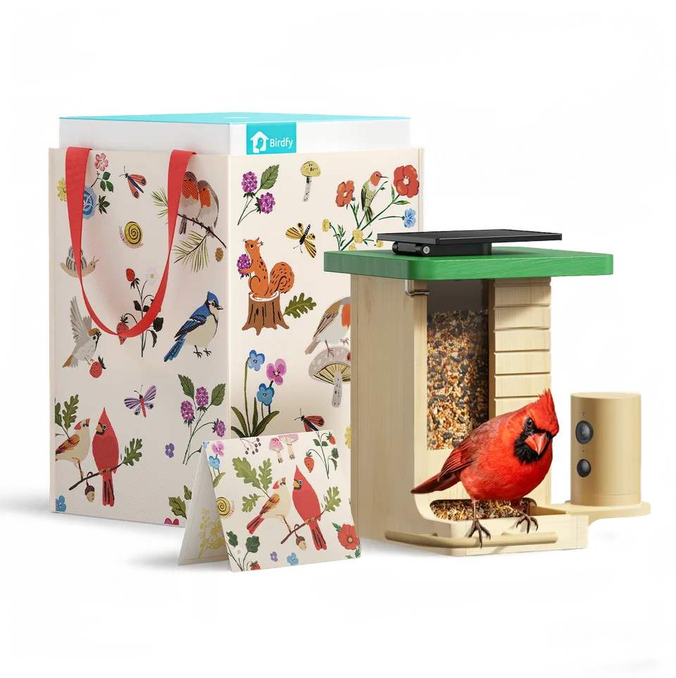 birdfy-feeder-wood-gift-set-vogelhaus-kamera-solar-holz image 1
