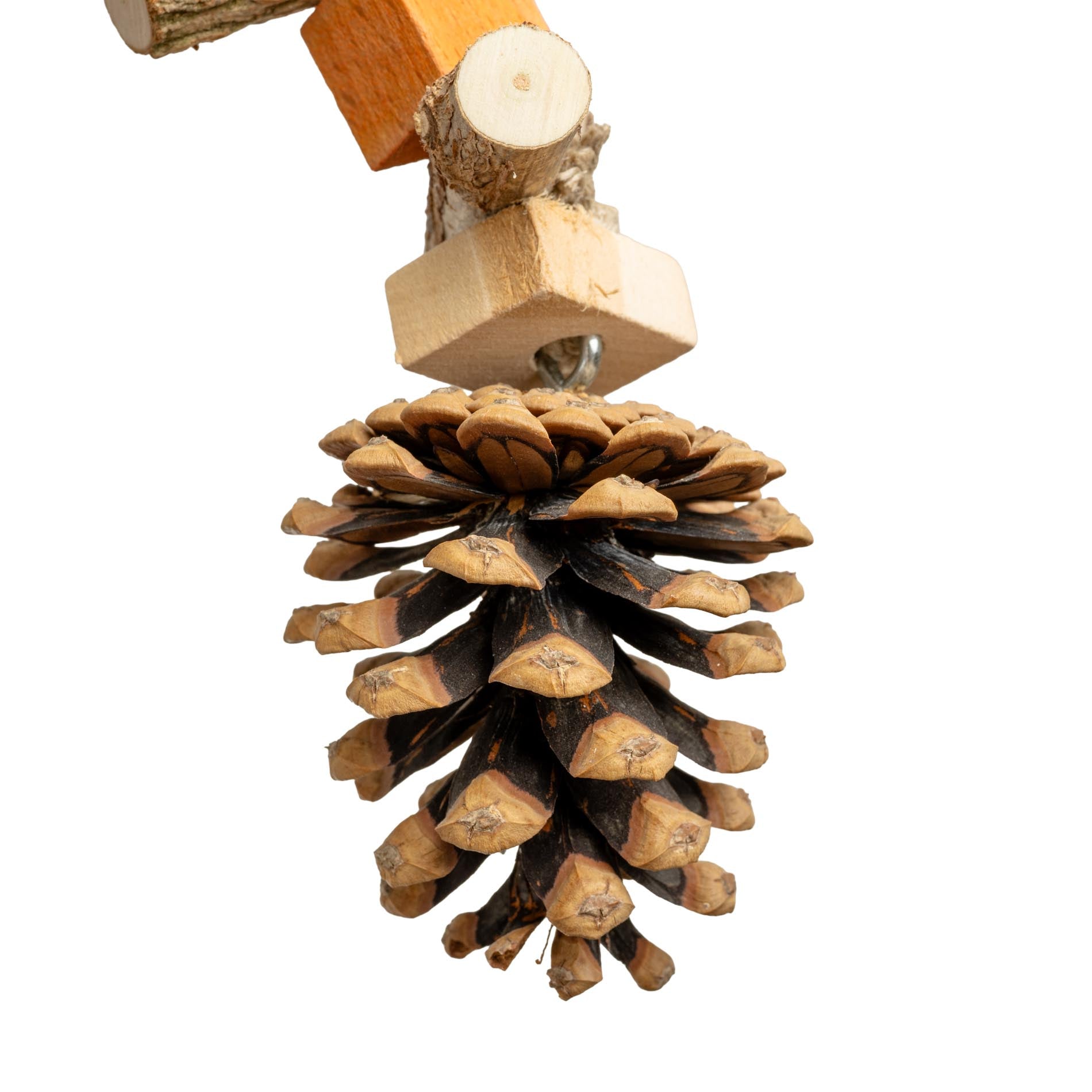 rico-s-futterkiste-knabber-zapfen-sittichspielzeug-32cm-holz image 2