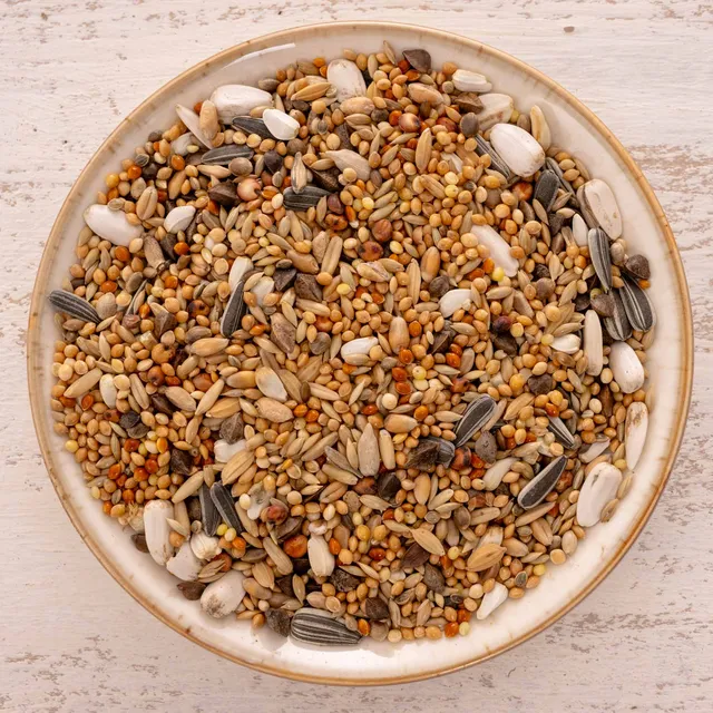 rico-s-futterkiste-gro-sittich-spezial-1-vogelfutter-1-kg-18-saaten image 1