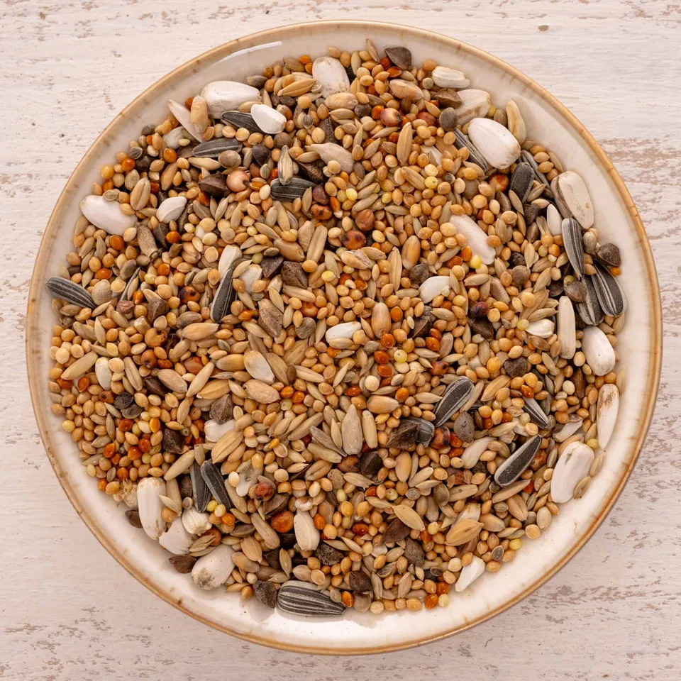 rico-s-futterkiste-gro-sittich-spezial-1-vogelfutter-1-kg-18-saaten image 1