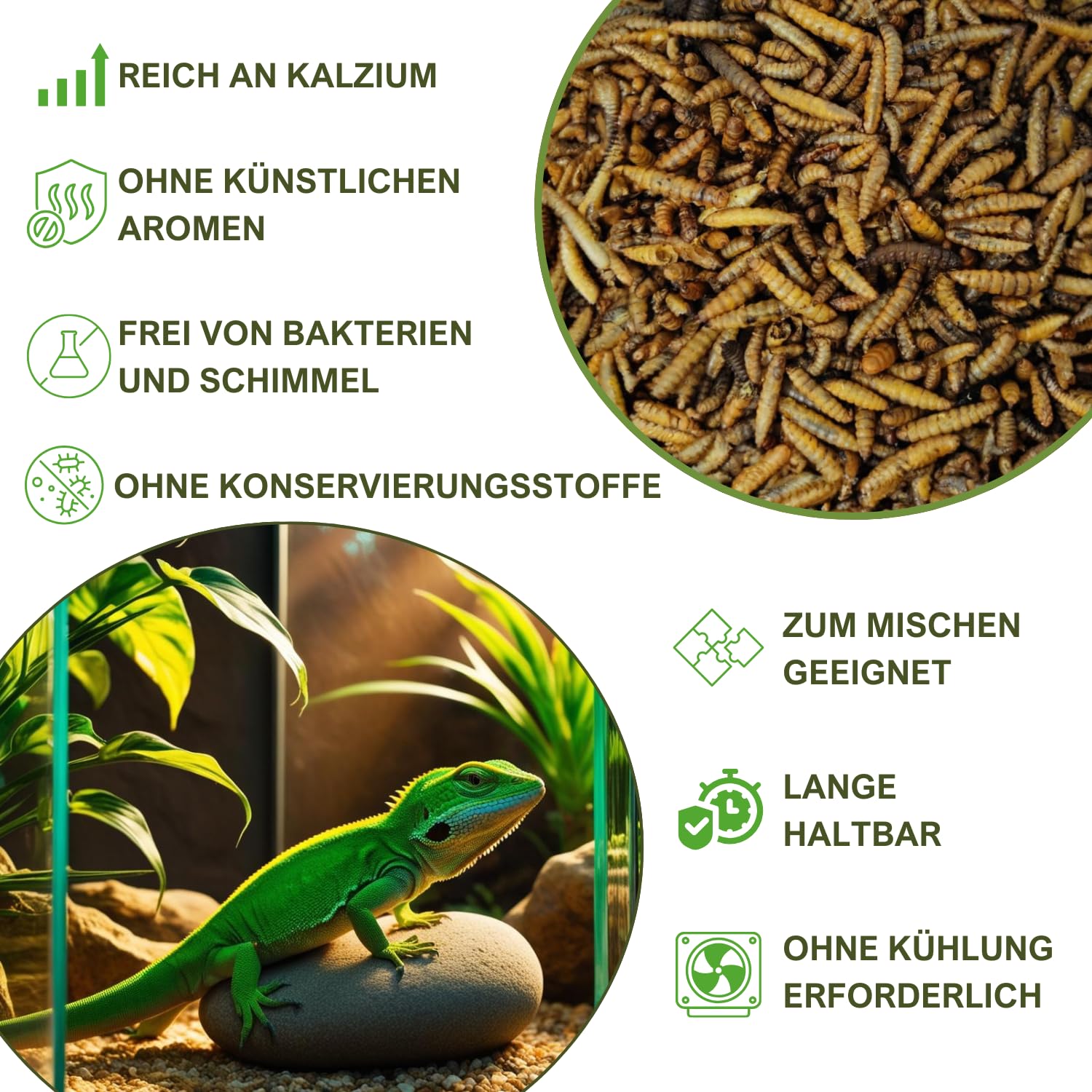 klasebo-soldatenfliegenlarven-getrocknet-5-kg-vogelfutter image 5