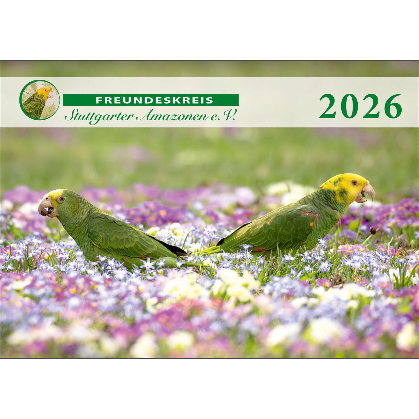 rico-s-futterkiste-kalender-stuttgarter-amazonen-2026-a3-papagei image 1