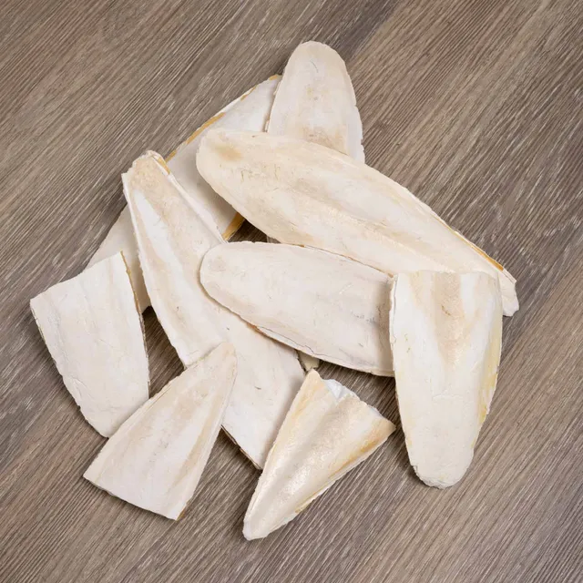 rico-s-futterkiste-sepia-schalen-bruch-calcium-100-g-naturbelassen image 1