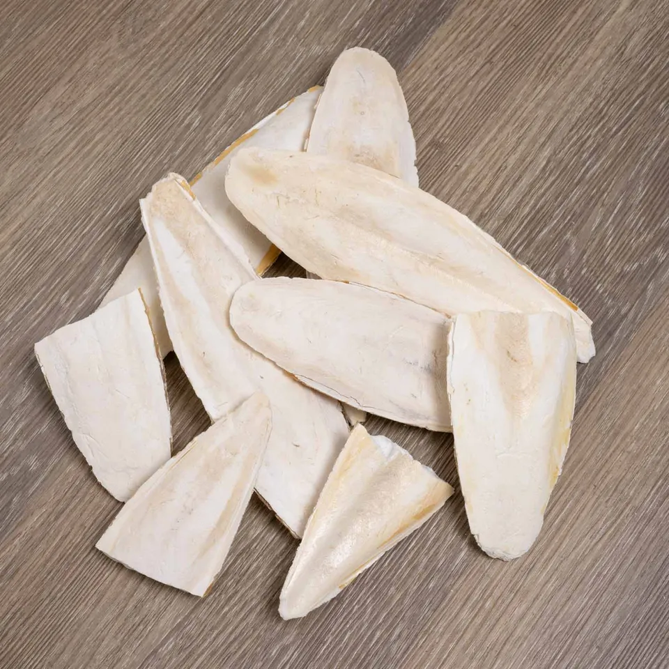rico-s-futterkiste-sepia-schalen-bruch-calcium-100-g-naturbelassen image 1