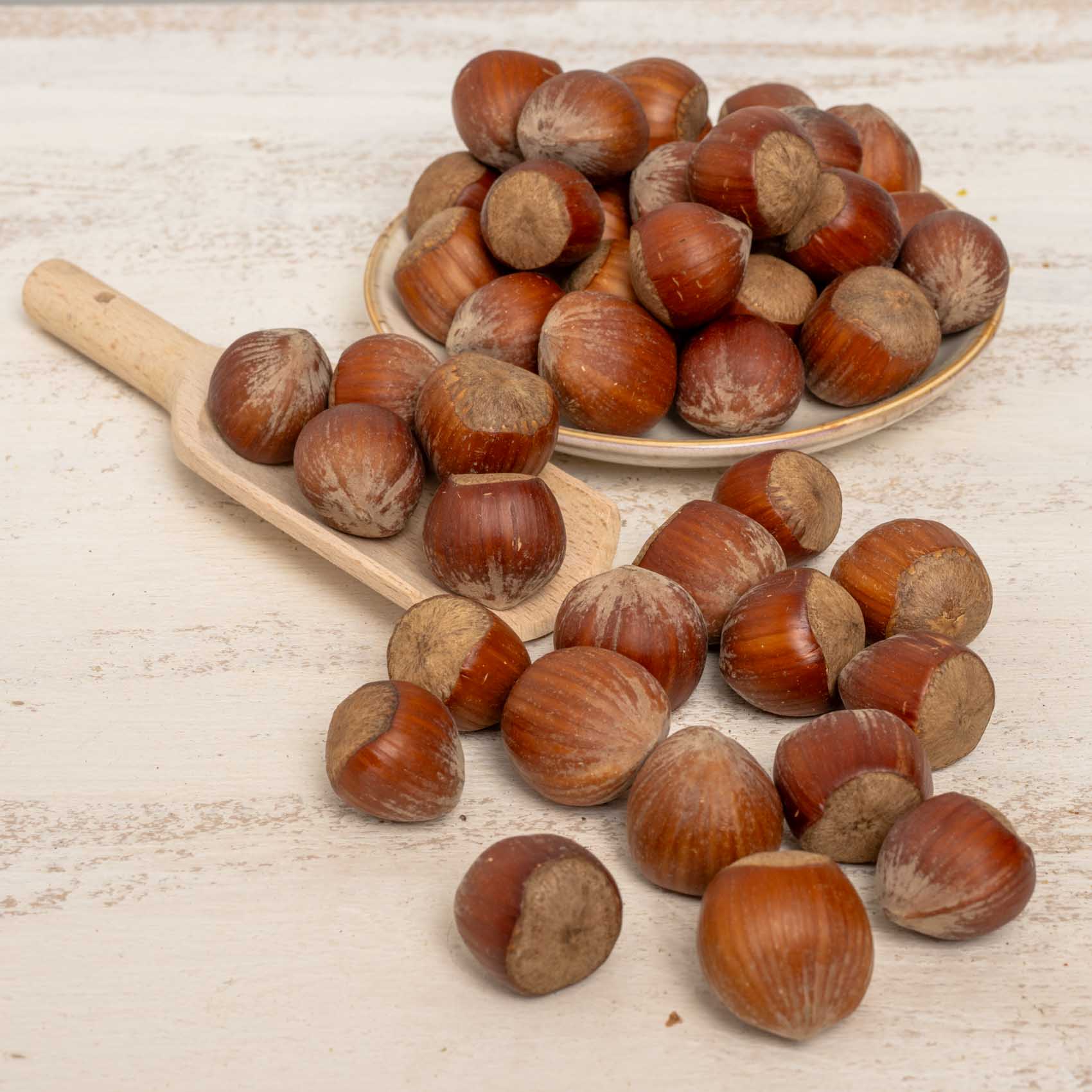 rico-s-futterkiste-haseln-sse-mit-schale-papageiensnack-250-g image 3