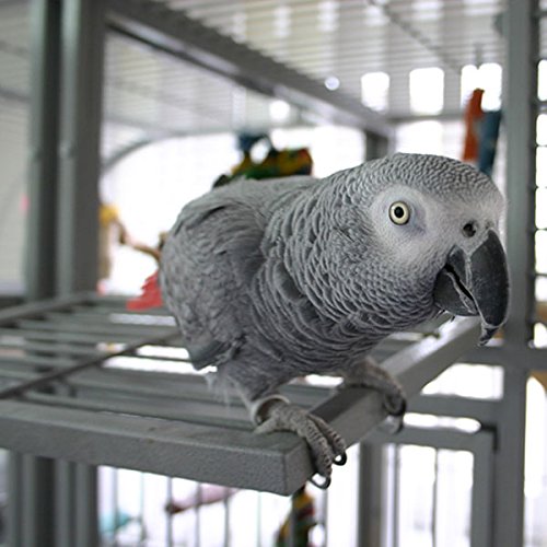 montana-cages-palace-papageienk-fig-xxl-platin-trennwand image 5