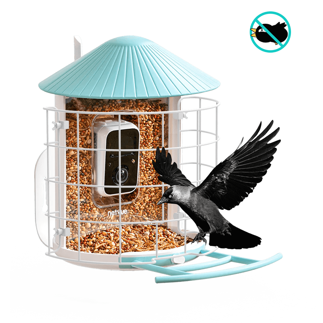 birdfy-shield-schutz-f-r-vogelfutterhaus-feeder-1 image 3