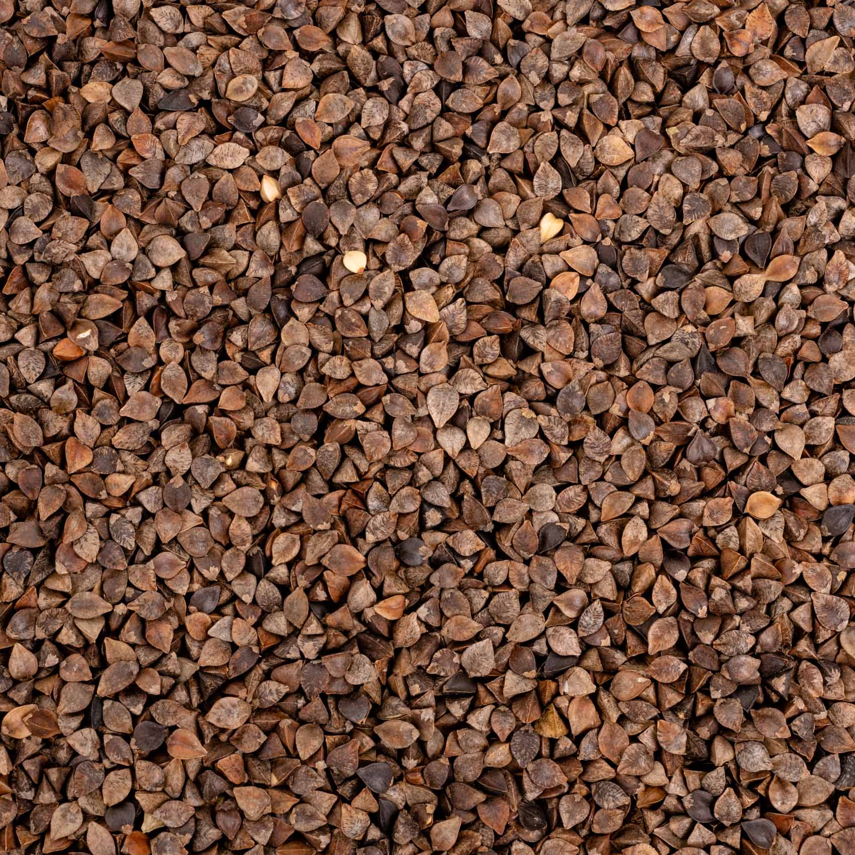 rico-s-futterkiste-buchweizen-einzelsaat-papageien-500-g-glutenfrei image 2